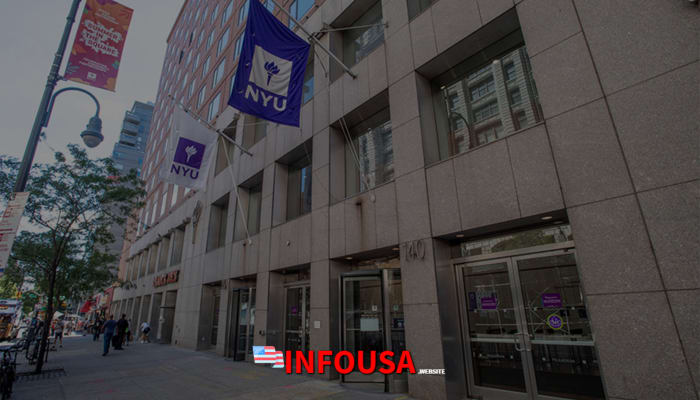 Universidad NYU